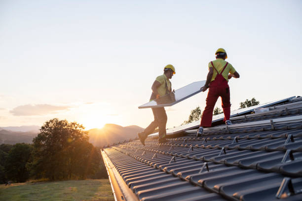 Best Roof Moss and Algae Removal  in Milton, WI